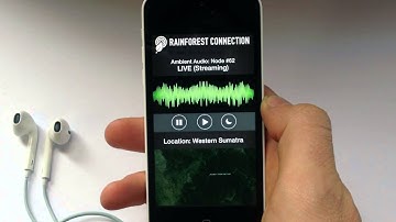 Rainforest Connection - A New Way to Fight Climate Change Today