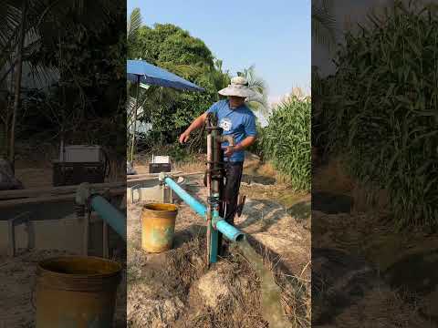 วิธีล่อน้ำก่อนสูบน้ำปั๊มหอยโข่ง ดูดสดไม่มีฟุตวาล์ว How to lure water before pumping