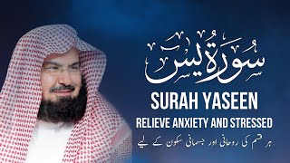 Download lagu Surah Yasin - (Full Arabic Recitation) by Al sheikh Abdul Rahman al-sudais | Daily Quran Recitation