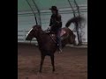 How to stop a horse from bucking Part 1 with Mike Hughes, Auburn California