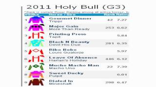 Holy Bull Stakes 2011 Video Analysis