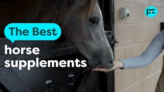 The best #horse supplements | PET CIRCLE