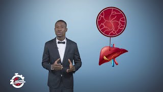 traitement de la fibrose hépatique
