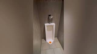 Firebirds Wood Fired Grill Men’s Restroom full shoot by Plumbing & Hand Dryers with Nate S 366 views 8 days ago 52 seconds