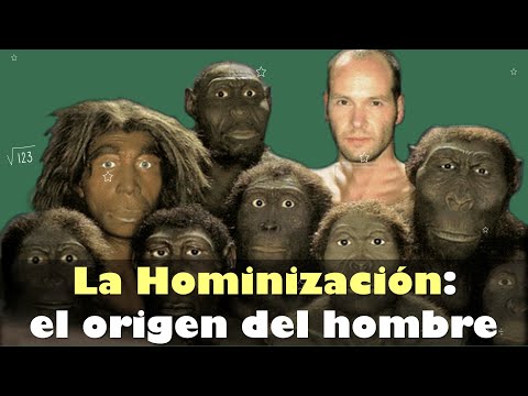 Video: Hade australopithecus motsatta tår?