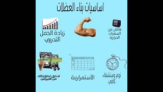 اساسيات بناء العضلات. حسن نفسك#تمارين #تمارين_كارديو