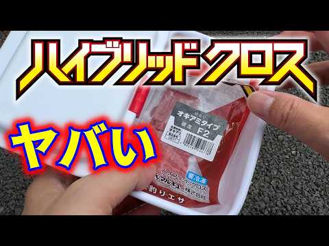 398world - YouTube