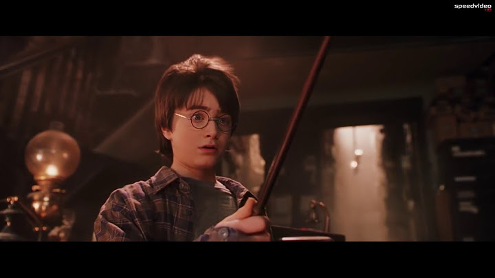 Harry Potter: È la bacchetta a scegliere il mago signor Potter