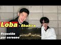 'Loba' Reacción por coreano | Shakira