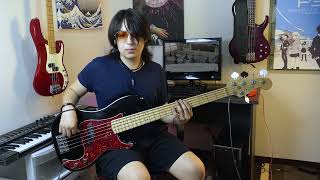 During The Test (Bass Cover)