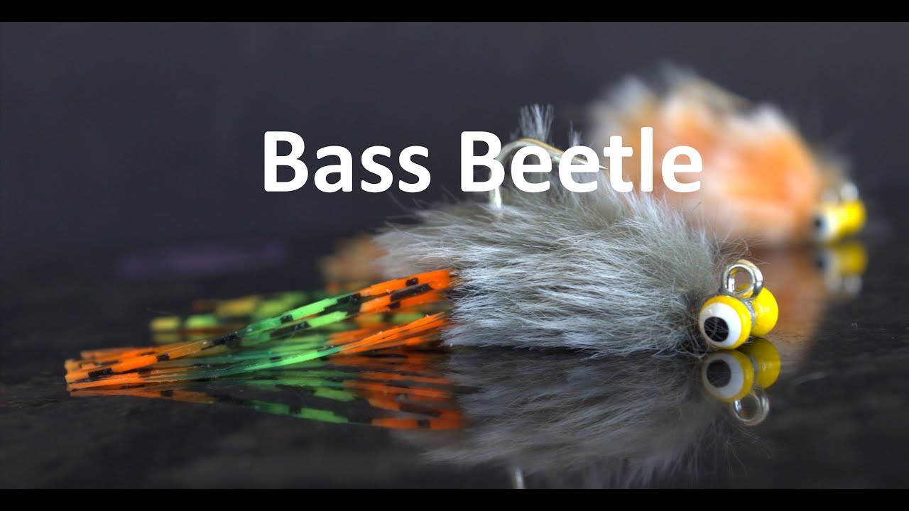 Bass Beetle small mouth bass fly tying tutorial 
