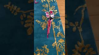 Jardin de Orient Development Sample