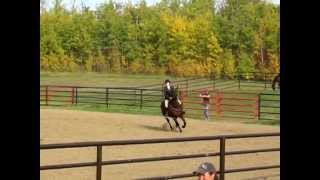 2'9 Hunter Course