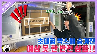 A surprise prize hidden in a large box! What is the surprise prize I pulled with the most luck ev...