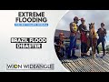 Brazil floods: Horse rescued from rooftop | WION Wideangle