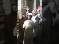 الحاج درديري على الطريقه الصوفيه 