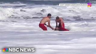 Father of boy rescued from pounding California surf says he is beyond grateful