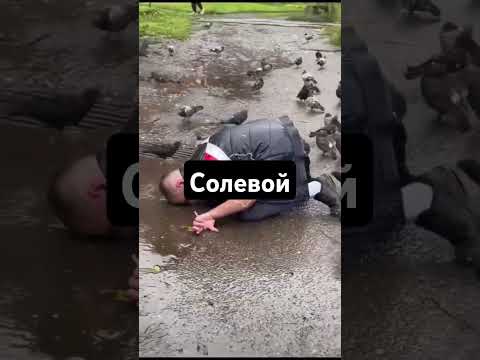 СОЛЬ ПОСТАВИЛА НА КОЛЕНИ #соль #альфапвп #альфа #солевойнаркоман #соляра
