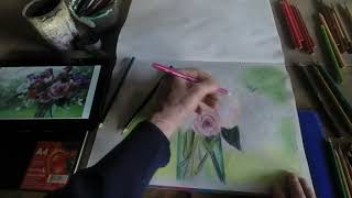 02 SOFT PENCIL CRAYON DRAWING screenshot 1