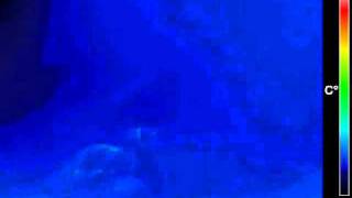 Etna20110218Emot-00-14Utc.flv