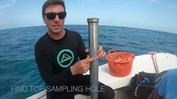 Preparing sediment core tube