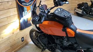 HDPanAmericaS 1  100519