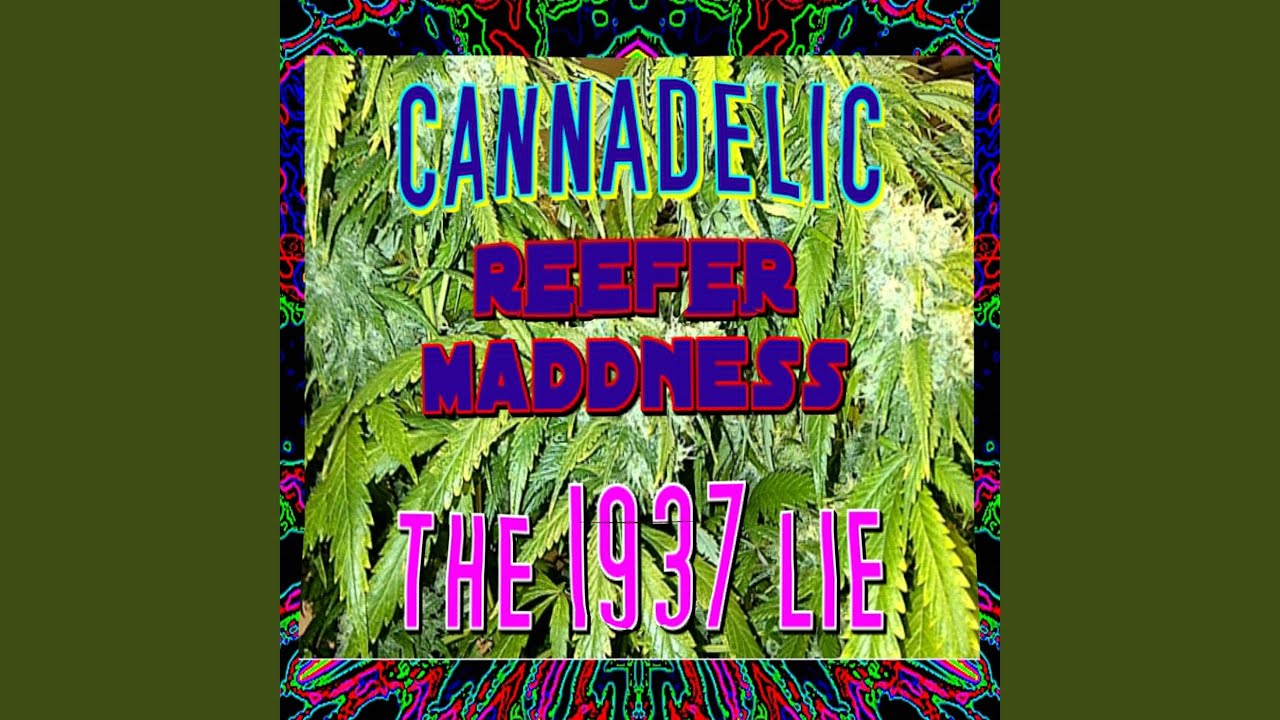 Kushland (feat. Andre Kimble)