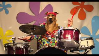 Cooper plays the drums! ( Full Take From Boomerang Music Video)