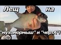 ПашАсУралмашА:-Лещ на "мухомормыш", и "чертА"!