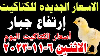 اسعار الكتاكيت البيضاء اليوم/ سعر الكتكوت الأبيض اليوم الاثنين  2023/11/6في مصر