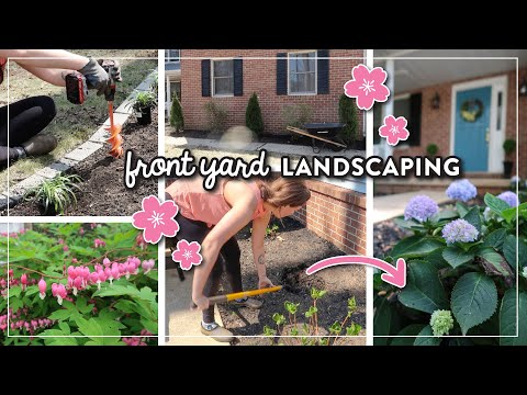 Video: Spring is in the house. Landscaping for beginners