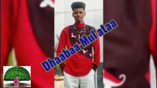 New Oromo Music Memaluma Fallii Dhaabaa Mul'ataa
