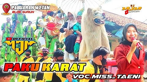 Vloggers Song:Paku Karat Burok MJM Live Pabuaran Wetan 24_11_22