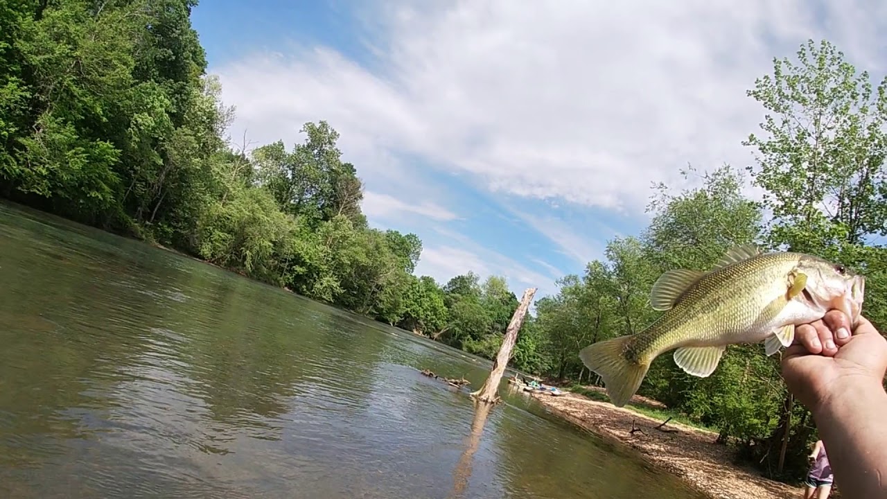 Kayak Fishing Cypress Creek Florence AL multiple species! YouTube