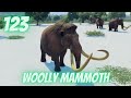 Random Dinosaur Facts in Under a Minute Ep 123: Woolly Mammoth