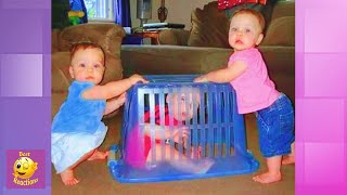 Babies And Siblings Playing Together - Best Reactions