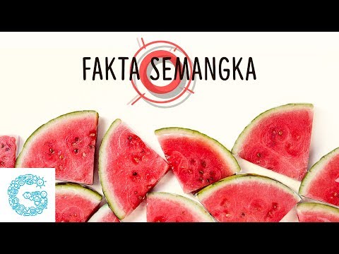 Video: Tentang Manfaat Buah Semangka