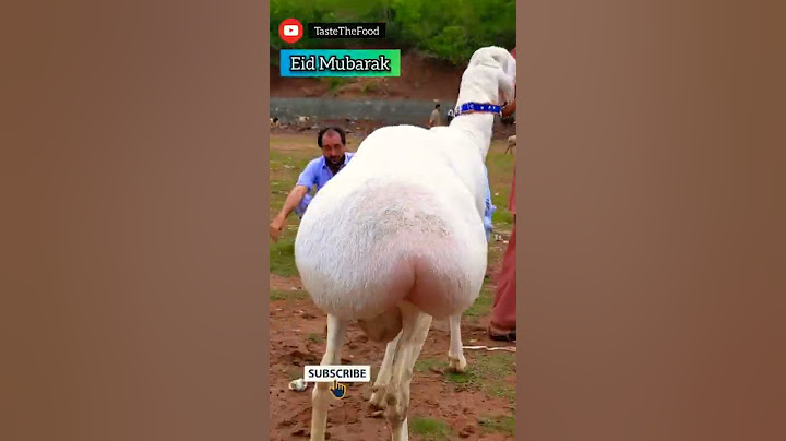 Eid Mubarak  #shorts | Bakra Eid Mubarak Status