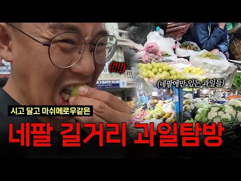 네팔 길거리 과일 먹방