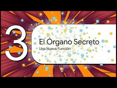 Token Talks Ai Podcast Español: Musculos 1 - El Órgano Secreto