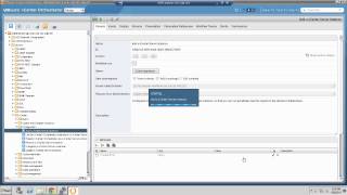 Connect vCenter Orchestrator to vCenter