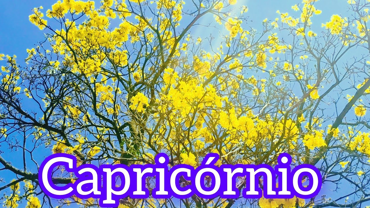 Signo  ♑ alguém aí se libertando dos tormentos do passado, E manifestou uma nova realidade. 😌