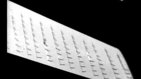 Airflow on a 40° Sweptback Wing