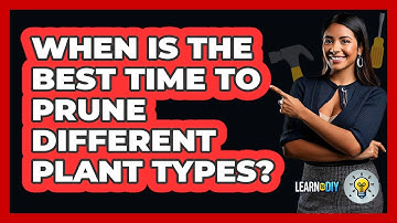 When Is The Best Time To Prune Different Plant Types? - LearnToDIY360.com