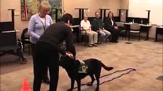DPP Sample Evaluation