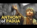 Saint ANTHONY Of Padua The Saint Of A THOUSAND Miracles