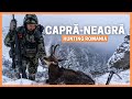 Chamois hunt romania  mountain hunting carpathian chamois  capra neagra  worlds biggest chamois