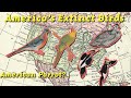 America&#39;s Lost Birds | The Extinct Bird Species of North America