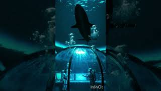 Underwater Military Base Destroyed by Stealth Submarine | Deep Sea War 😱