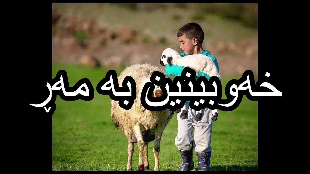 خەوبینین بە مەڕ - Dream reading in kurdish